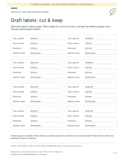 Filled example of the graft-labels worksheet; sample entries only