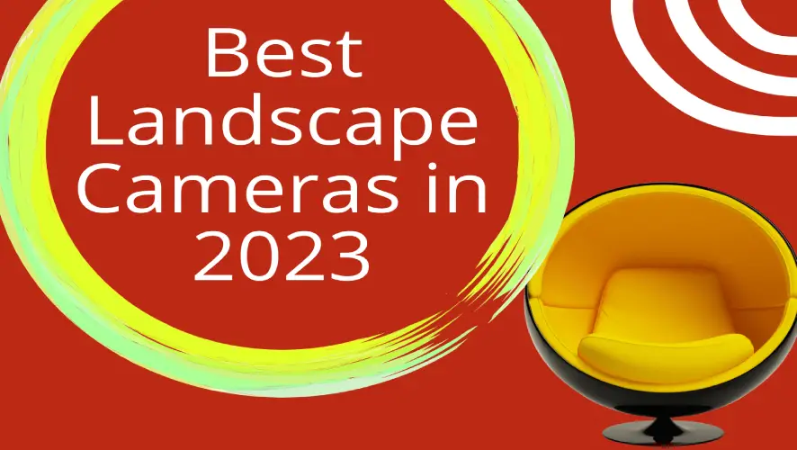 The Best Cameras for Landscape  Photography in 2023