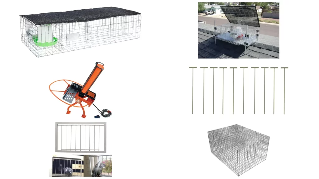 Best-Pigeon-Trap-For-You