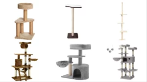Best-Cat-Climber-For-Your-Cat