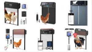 Best Chicken Coop Door For Chicken House